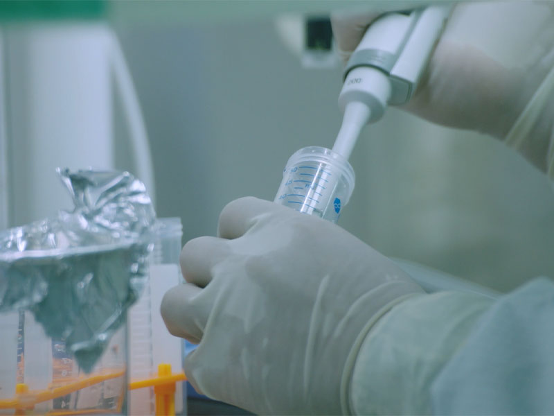 Mrna RSV Aşısının Hümoral ve Hücresel Bağışıklığı, ABD'de Klinik Araştırma için Uluslararası Pazarlanan Ürünlerin Başvurusundan Önemli Derecede Daha Yüksekti