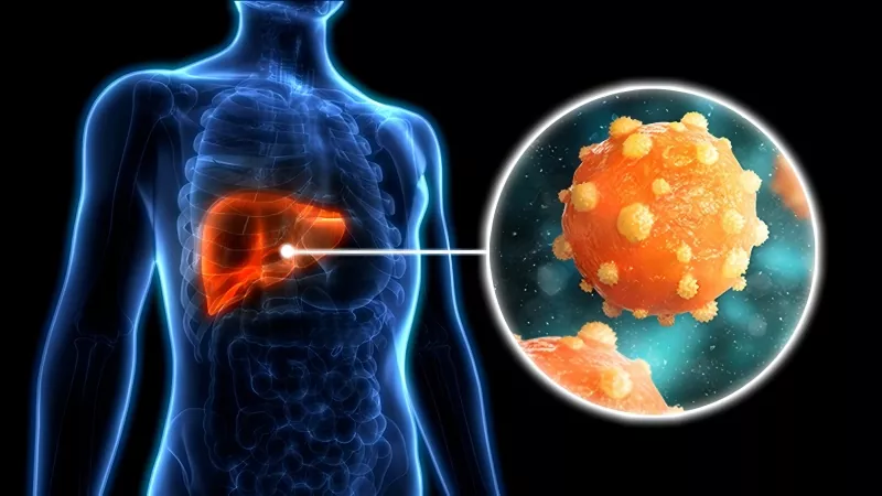 Hepatit B Aşısı 